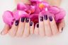 Signature Nails Logo