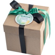 CBD Infused Green Tea & Ginseng Gift Box