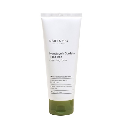 Houttuynia Cordata + Tea Tree Cleansing Foam 150ml